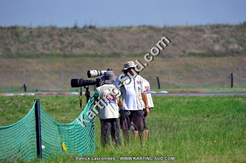 DSC_ (1233).jpg